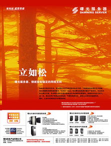 廣告設計的多元化展現(xiàn) 從傳統(tǒng)媒體到數(shù)字時代的創(chuàng)意實踐